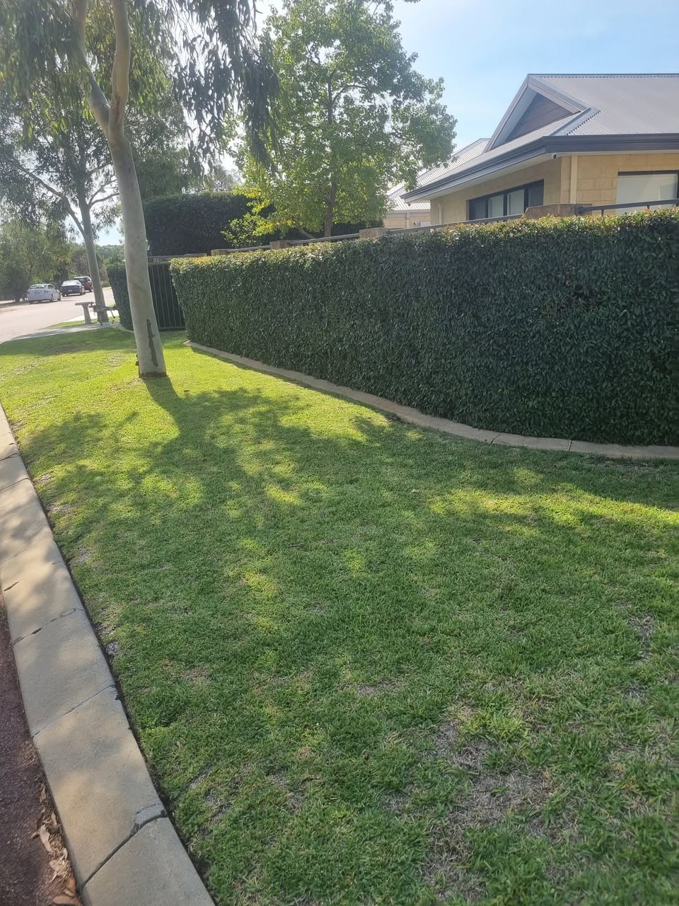 Precision Landscape Solutions — completed project 4